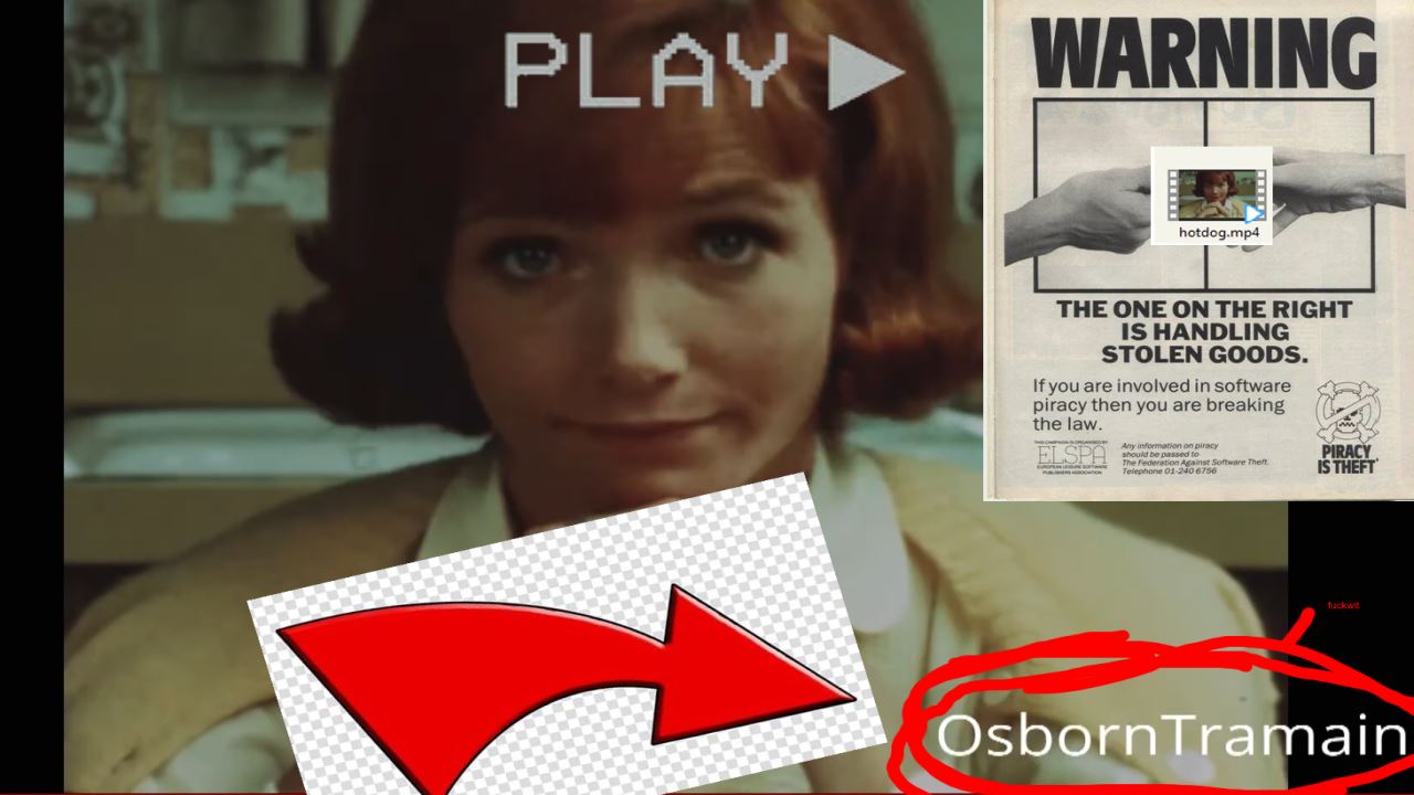 1968hotdogs.kippykip.com